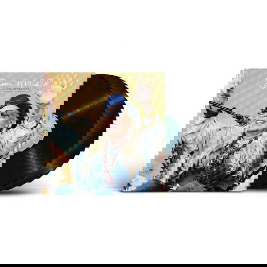 Joni Mitchell - Joni Mitchell At Newport (2 LP) - Joco Records