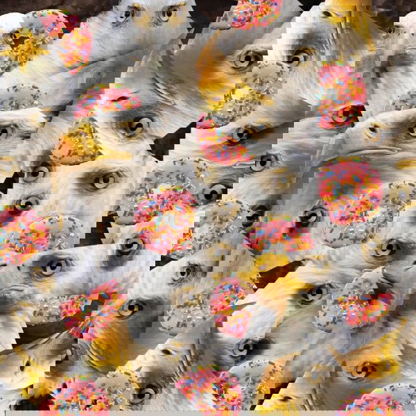 Juan Power - Crescendo EP (Vinyl) - Joco Records