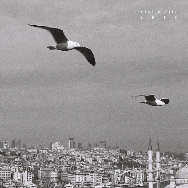 Kaae & Batz - Lush (Vinyl) - Joco Records