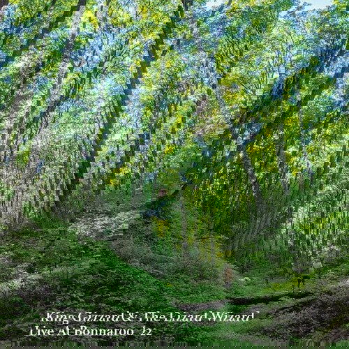 King Gizzard and the Lizard Wizard - Live At Bonnaroo '22 (Color Vinyl, Orange) - Joco Records