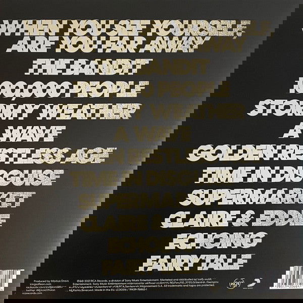 Kings of Leon - When You See Yourself (Limited Edition, Color Vinyl, Stormy Black & Clear Vinyl) (Import) (2 LP) - Joco Records