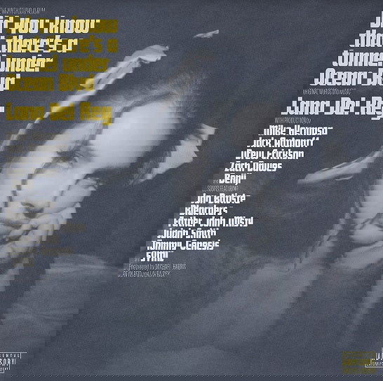 Lana Del Rey - Did you know that there’s a tunnel under Ocean Blvd (2 LP) - Joco Records