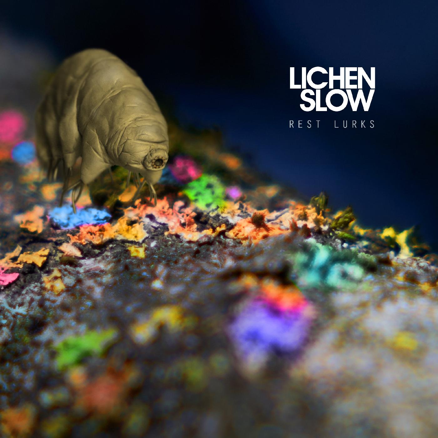 Lichen Slow - Rest Lurks (Orange Vinyl) - Joco Records