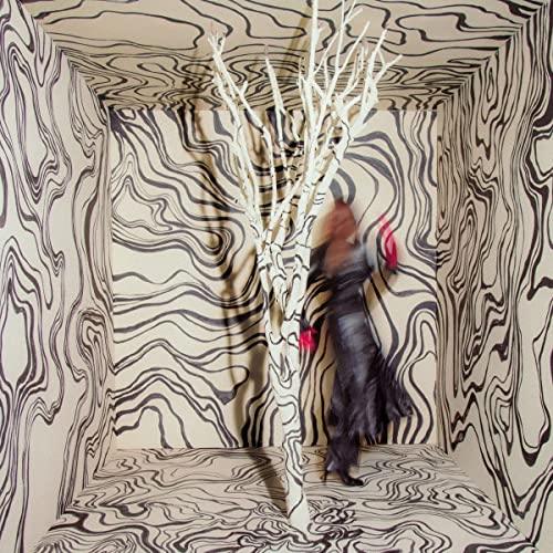 Madison Cunningham - Revealer (LP) - Joco Records