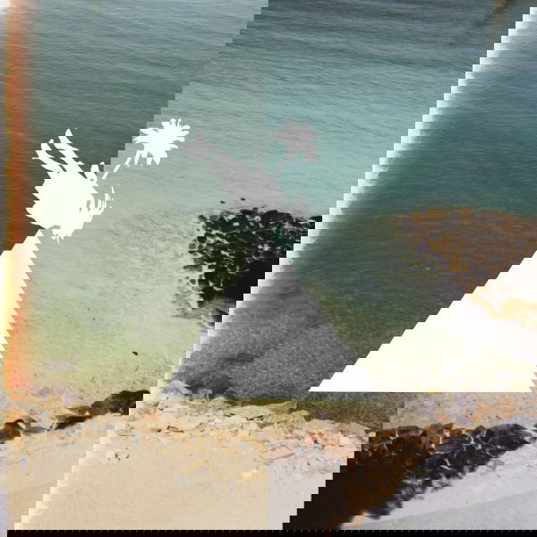 Melt Yourself Down - Last Evenings On Earth (LP) - Joco Records