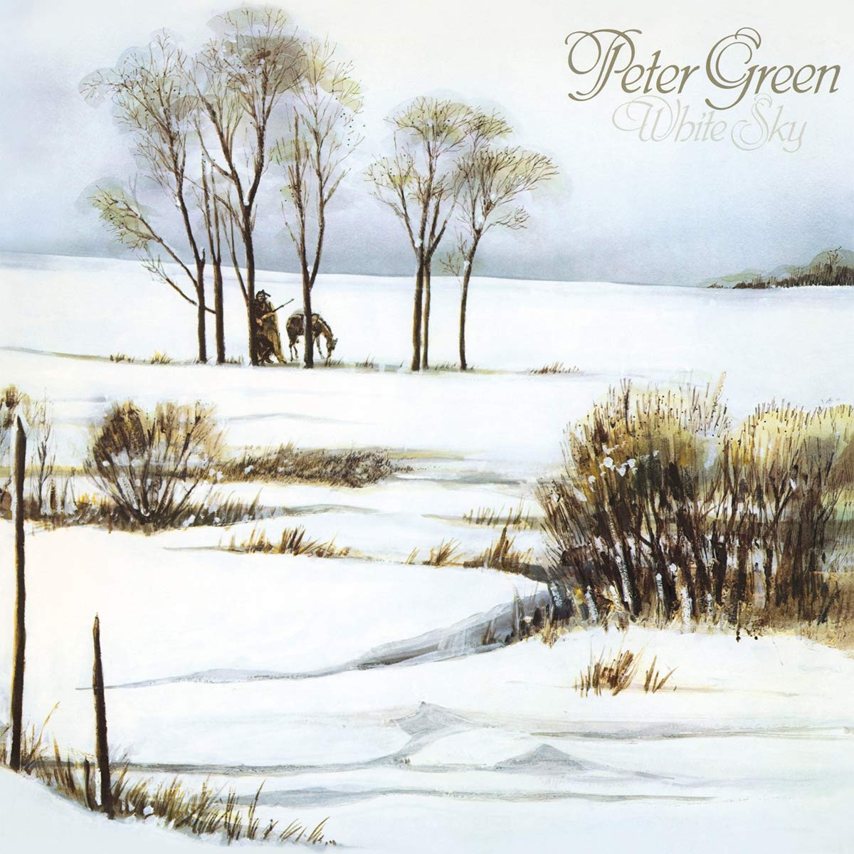 Peter Green - White Sky (180 Gram Black Vinyl)
