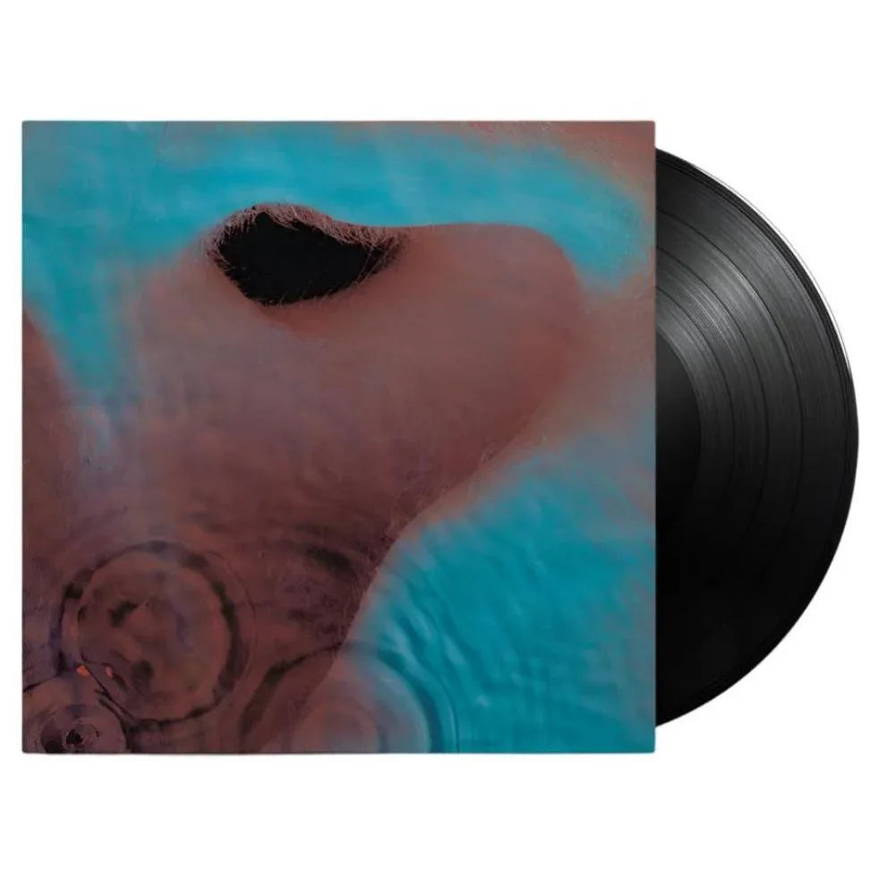 Pink Floyd - Meddle (Remastered, Gatefold, 180 Gram) (LP) - Joco Records