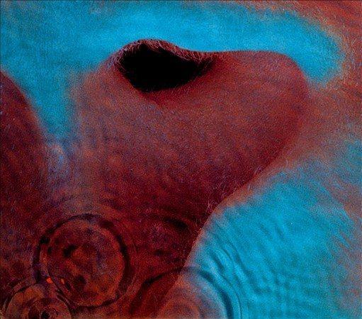 Pink Floyd - Meddle (Vinyl) - Joco Records