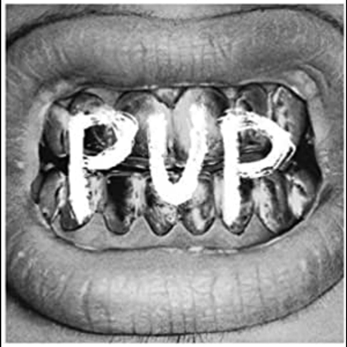 Pup - Pup (Vinyl) - Joco Records