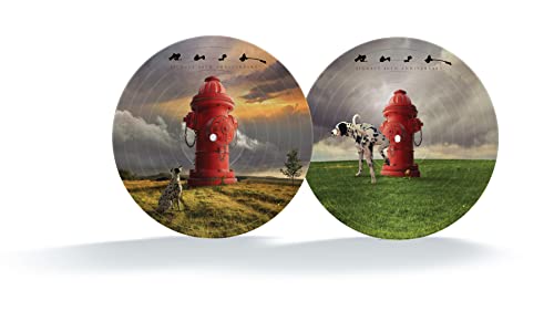 Rush - Signals (40th Anniversary) (Picture Disc LP) - Joco Records