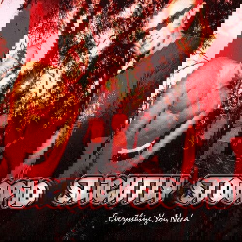 Slightly Stoopid - Everything You Need (Red & Black Splatter Vinyl) - Joco Records