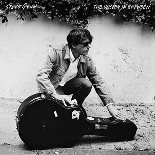 Steve Gunn - Unseen In Between (LP) - Joco Records