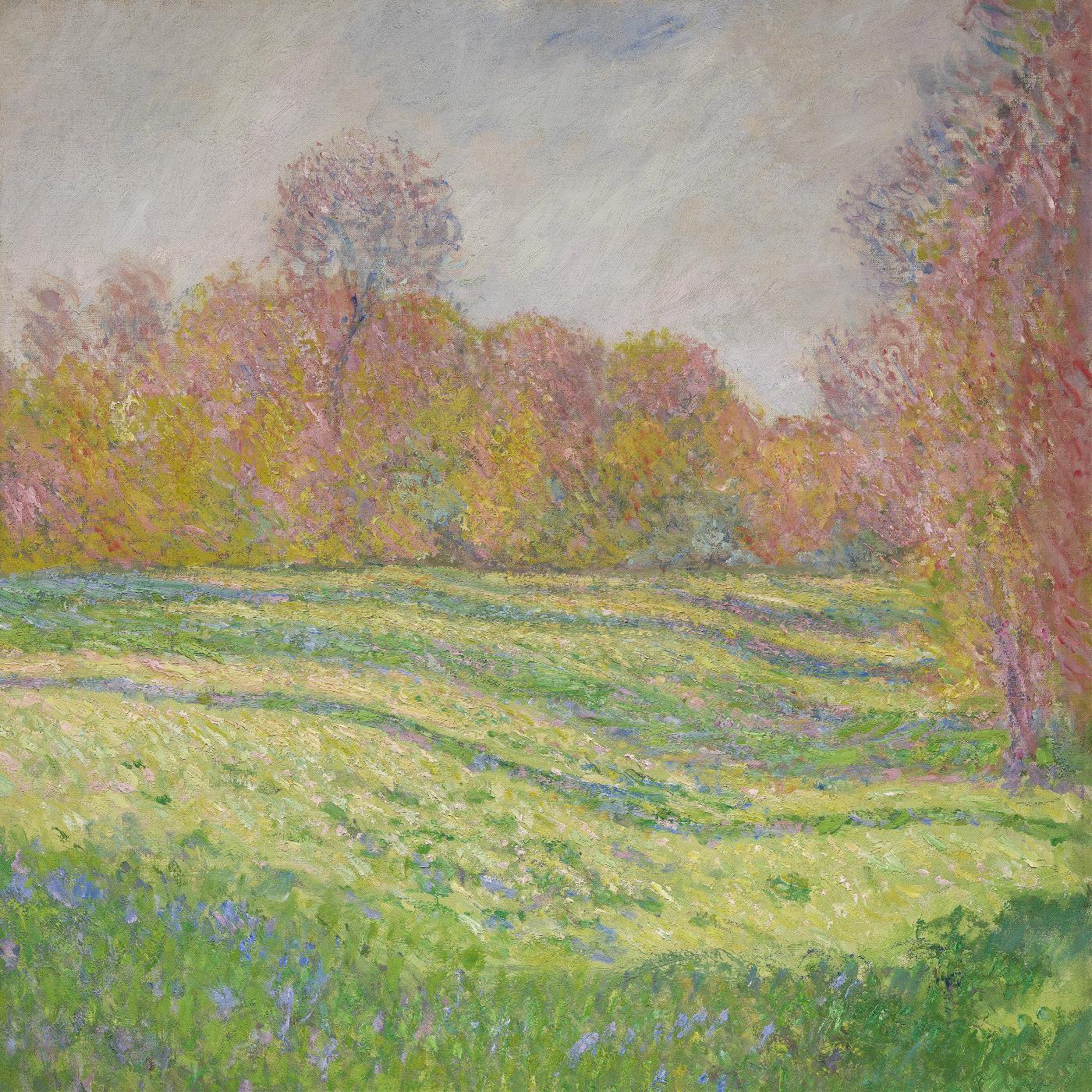 Strawberry Guy - Sun Outside My Window (Baby Blue Vinyl) - Joco Records