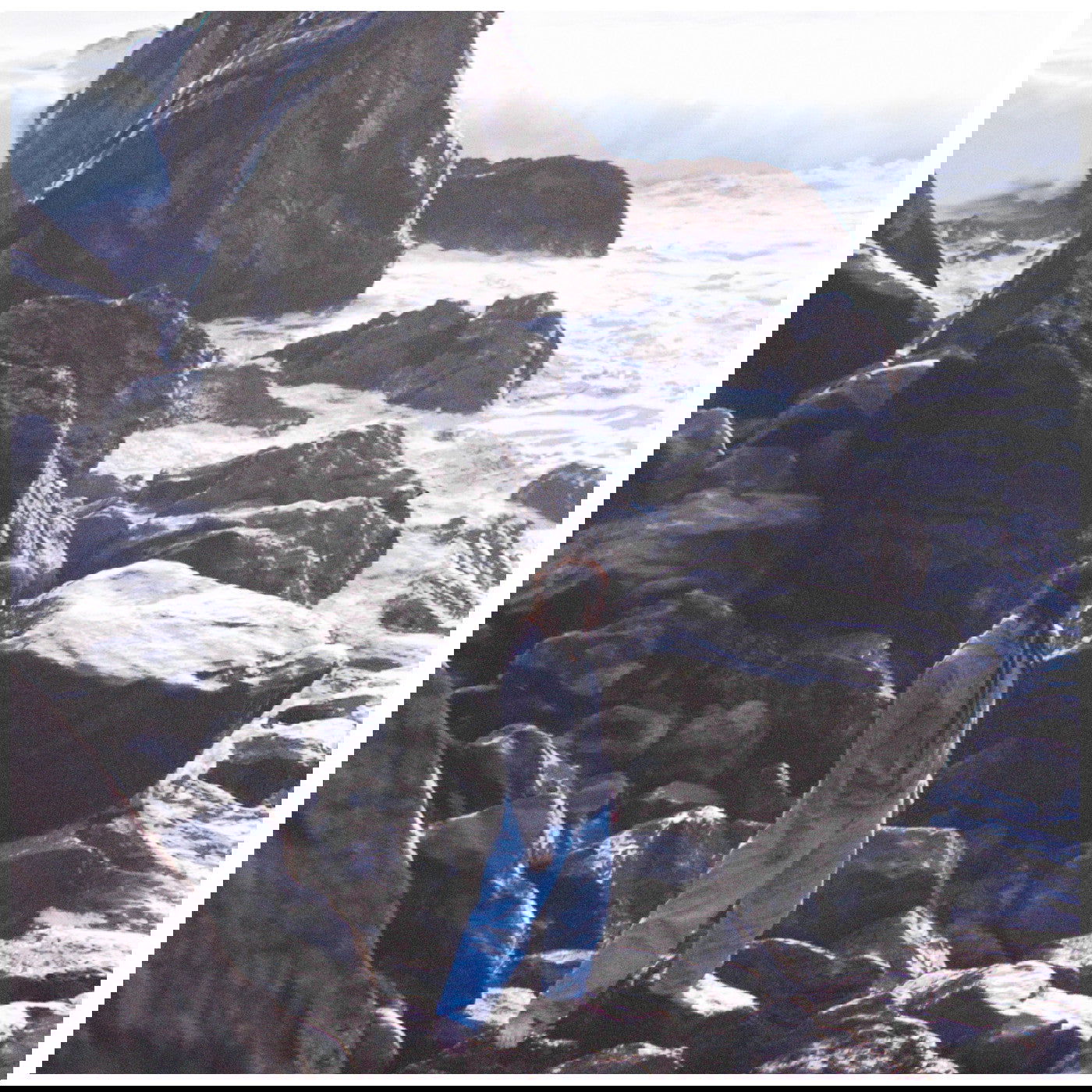 Tanukichan - Circles (LP) - Joco Records