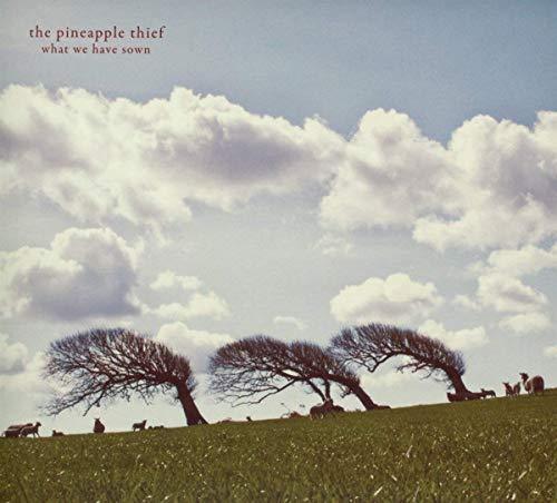 The Pineapple Thief - What We Have Sown