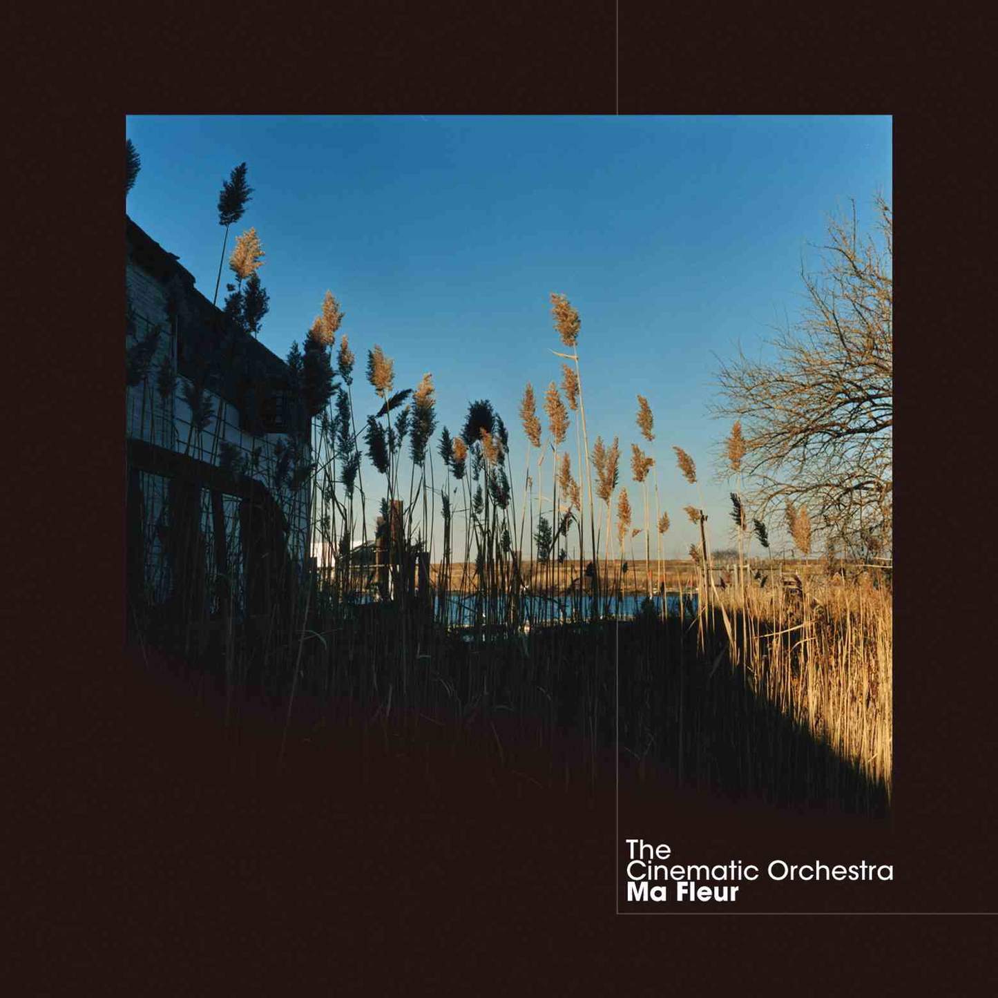 The Cinematic Orchestra - Ma Fleur (Vinyl) - Joco Records