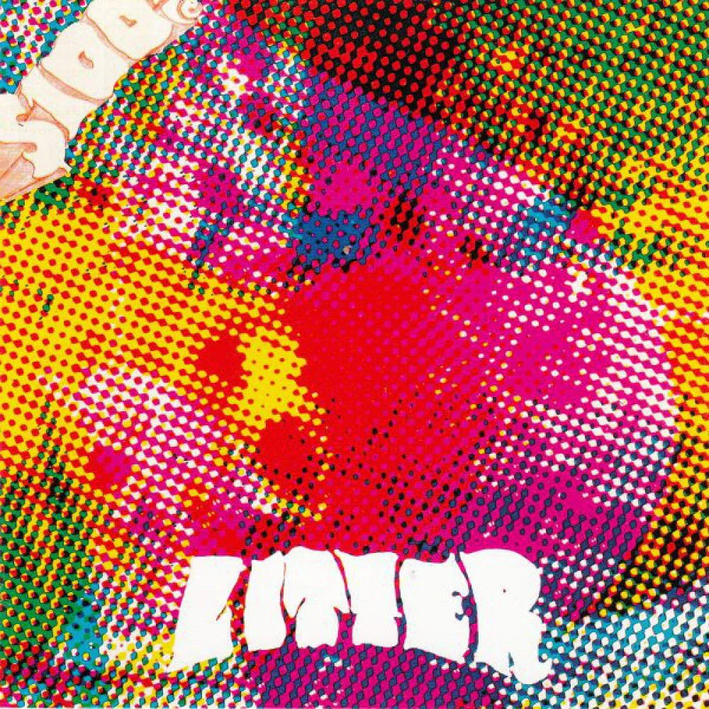 The Litter - $100 Fine (Vinyl) - Joco Records