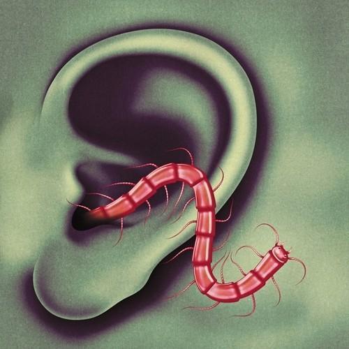 Thee Oh Sees - An Odd Entrances (LP) - Joco Records