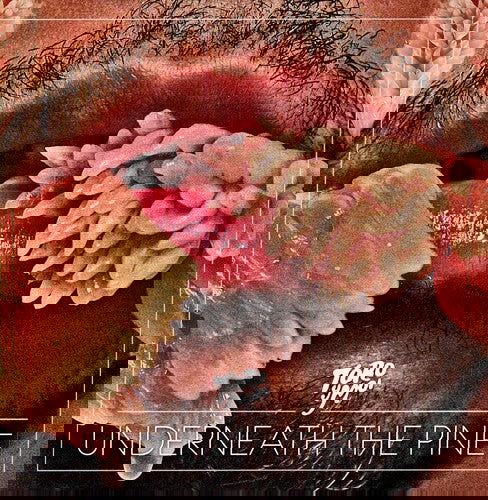 Toro y Moi - Underneath the Pine (Vinyl) - Joco Records