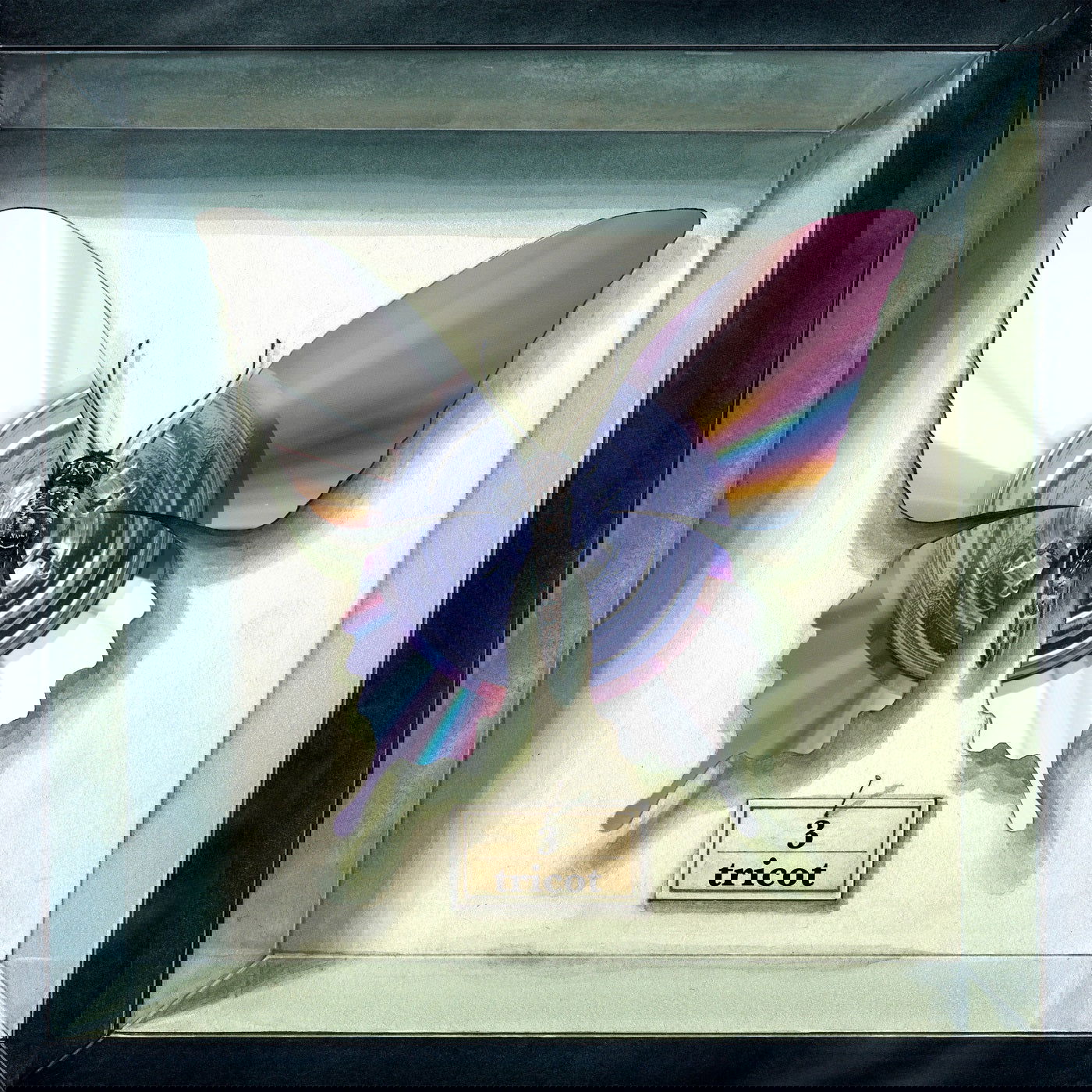 Tricot - 3 (PAPER WHITE & CLEAR BLUE VINYL) - Joco Records