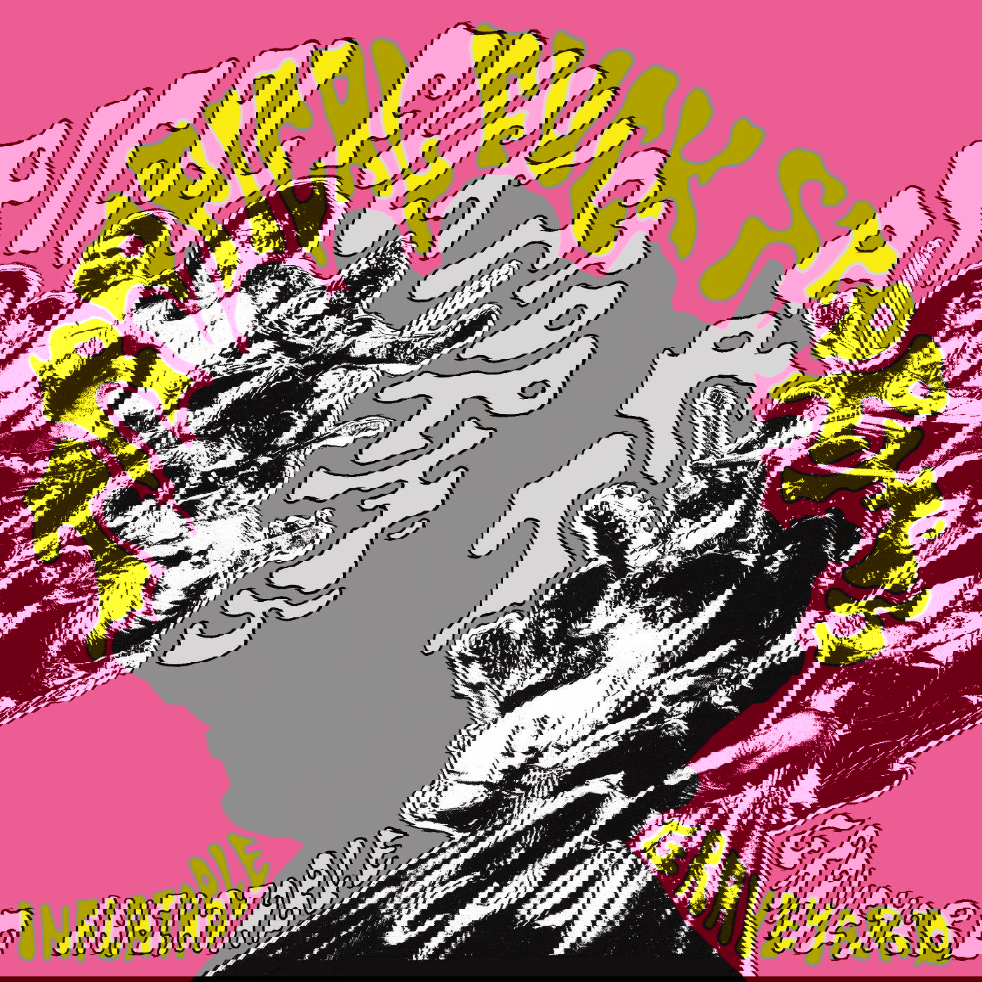 Tropical Fuck Storm - Tropical Fuck Storm's Inflatable Graveyard (LP) - Joco Records