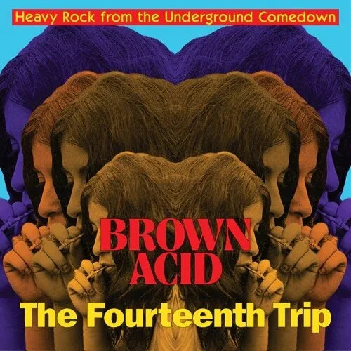 VARIOUS ARTISTS - Brown Acid: The Fourteenth Trip (Vinyl) - Joco Records
