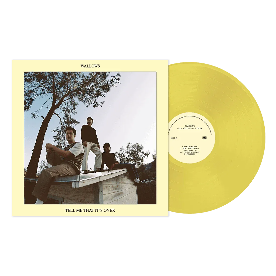 Wallows - Tell Me That It's Over (Vinyl) - Joco Records