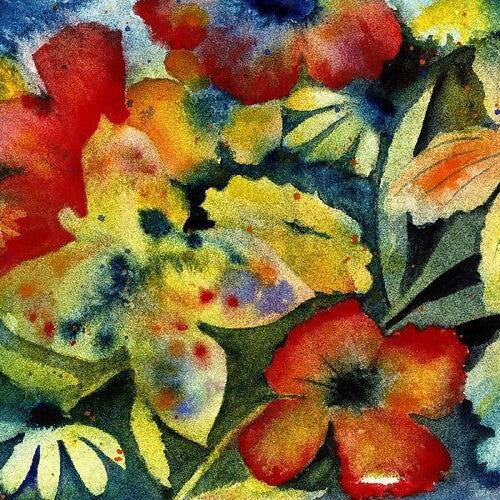 Adrianne Lenker - Songs And Instrumentals (2 LP) - Joco Records
