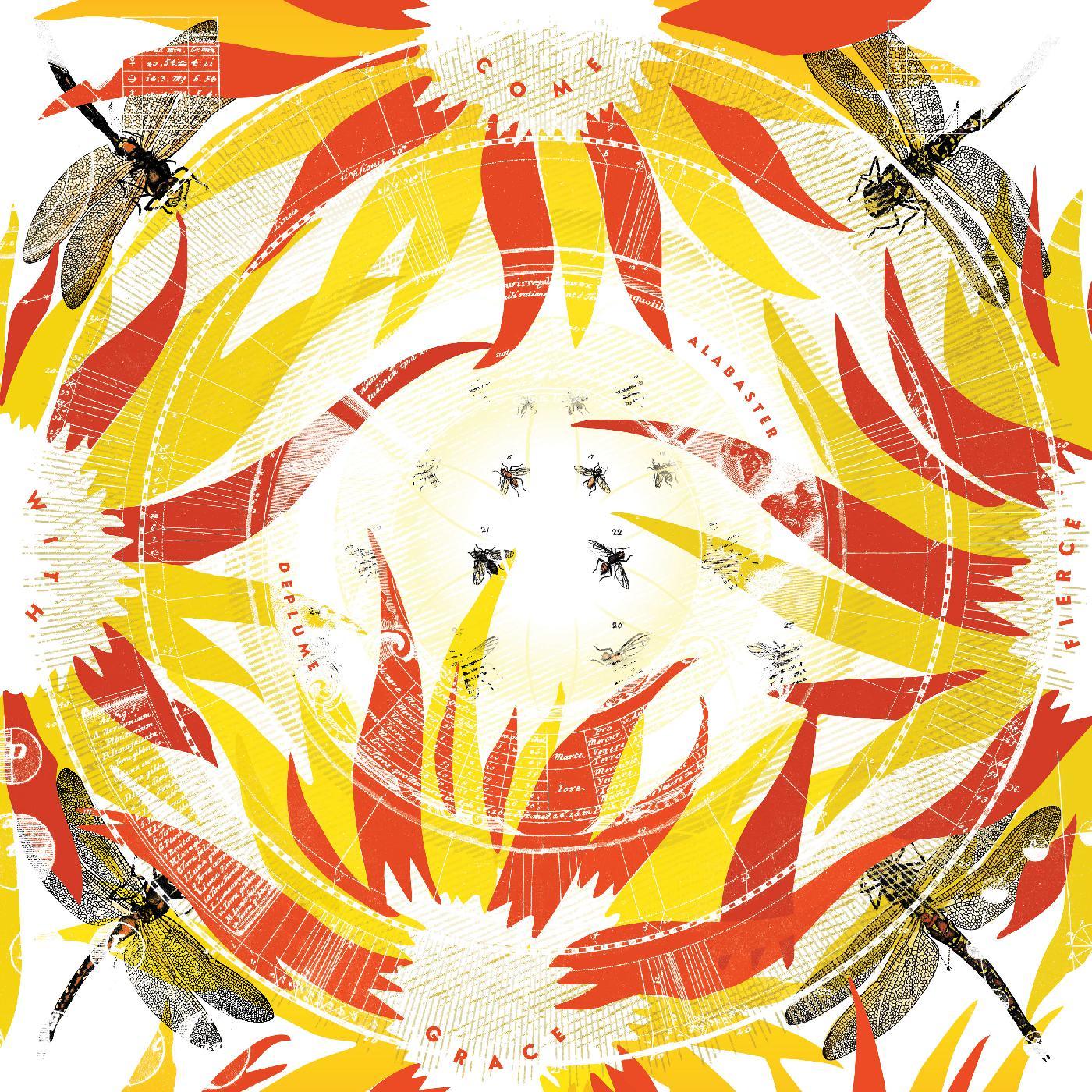 Alabaster Deplume - Come With Fierce Grace (LP) - Joco Records
