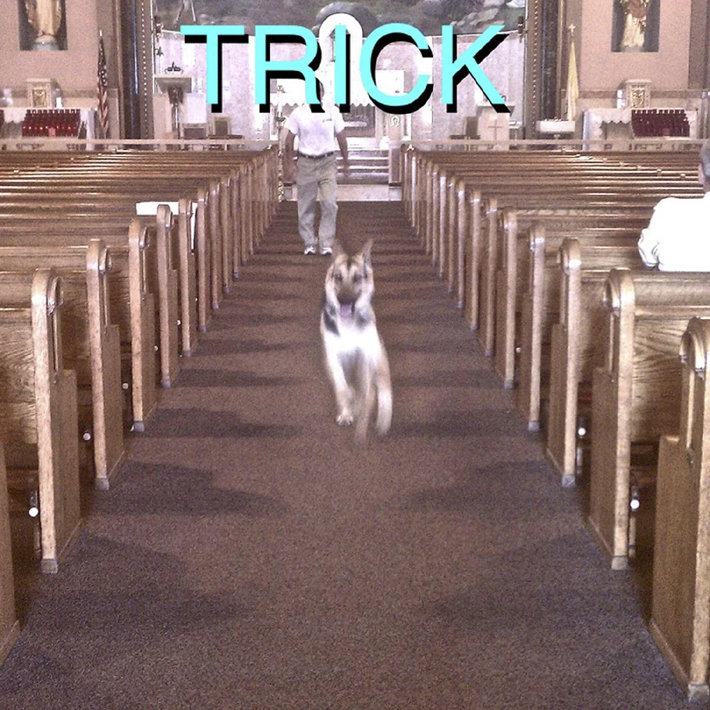 Alex G - Trick (Deluxe Edition) (LP & 7" Single) - Joco Records