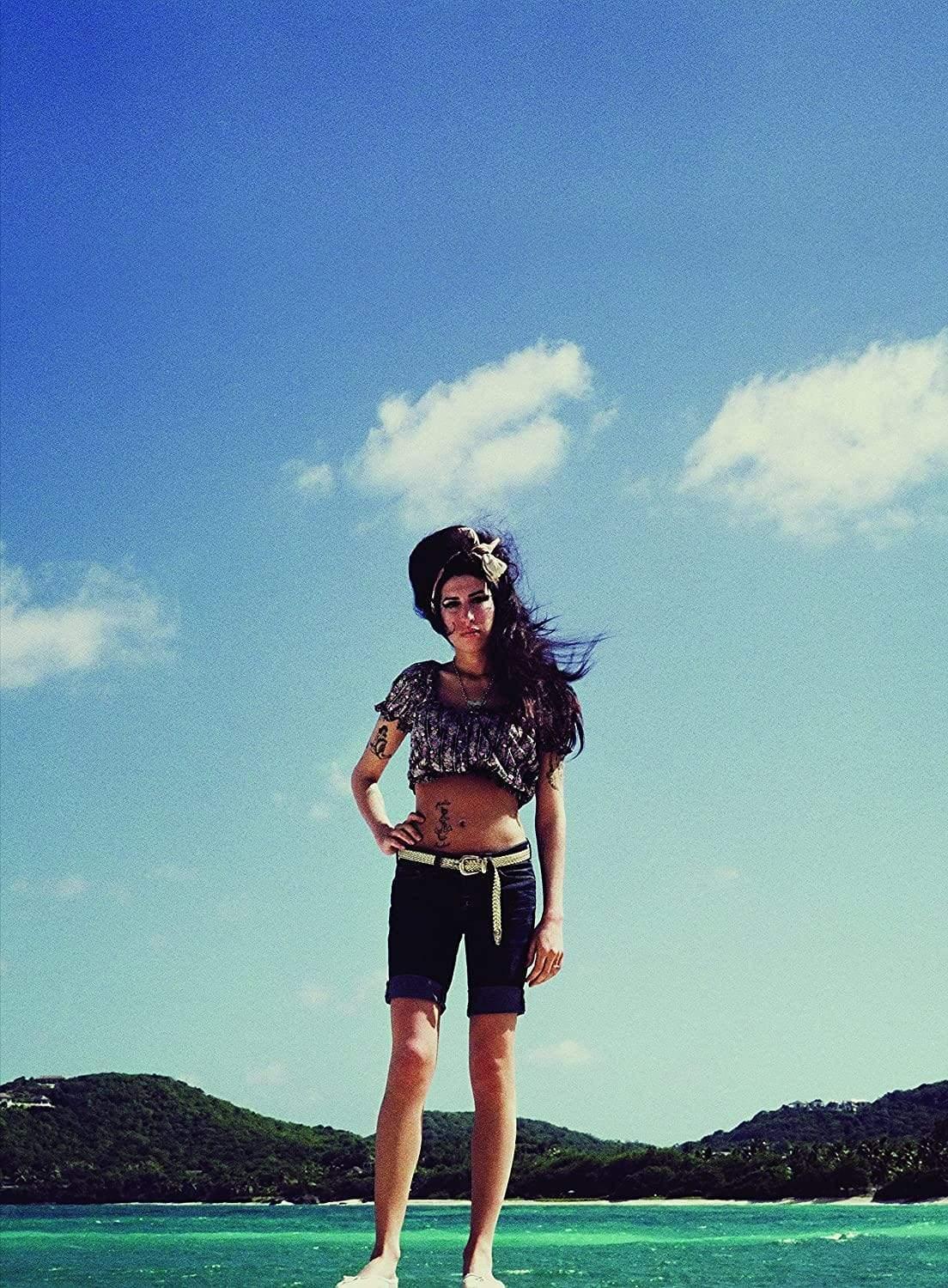 Amy Winehouse - Back to Black (Limited Edition Cover, Import, 180 Gram) (LP) - Joco Records