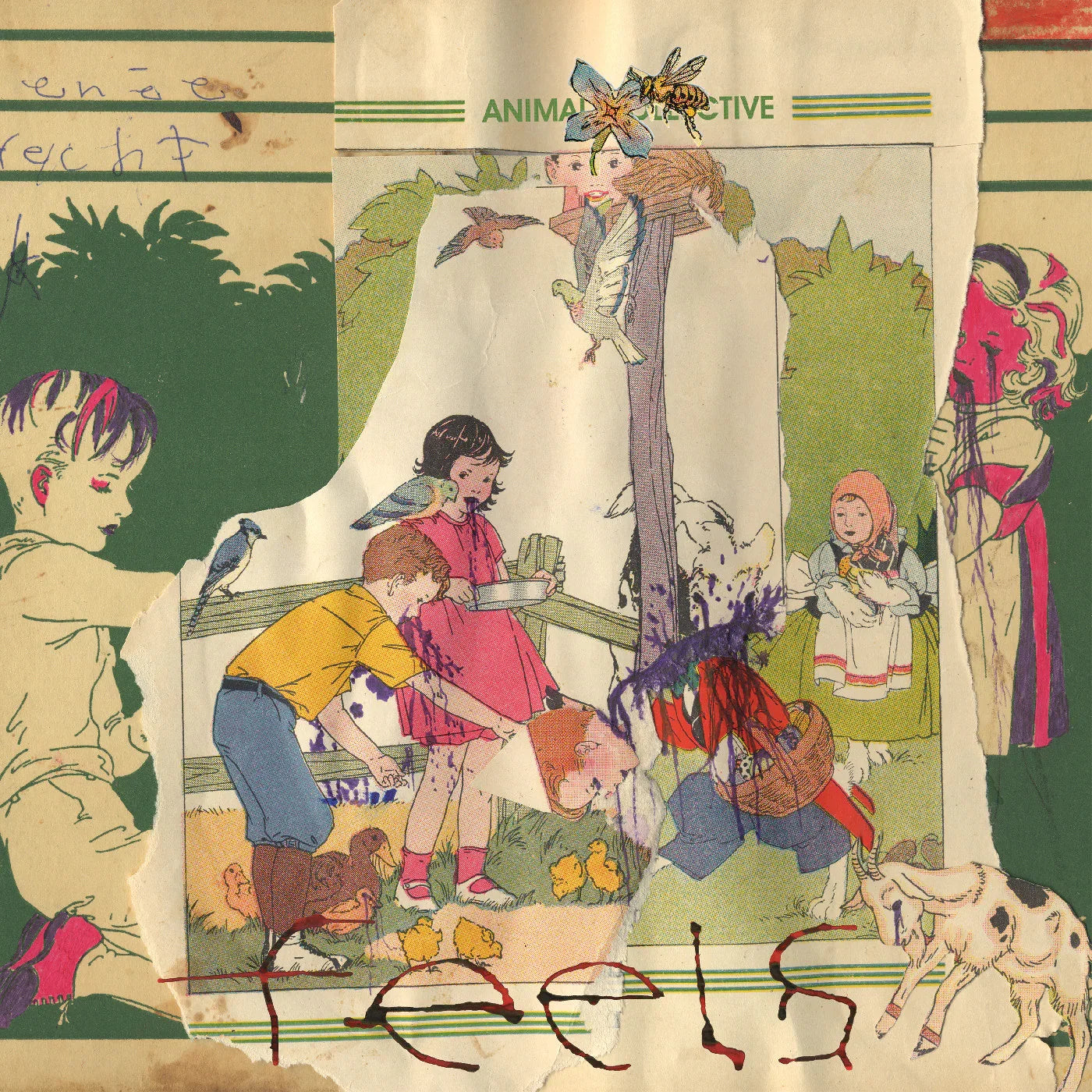 Animal Collective - Translucent Grape Vinyl) Feels 20th Anniversary (Deluxe Edition