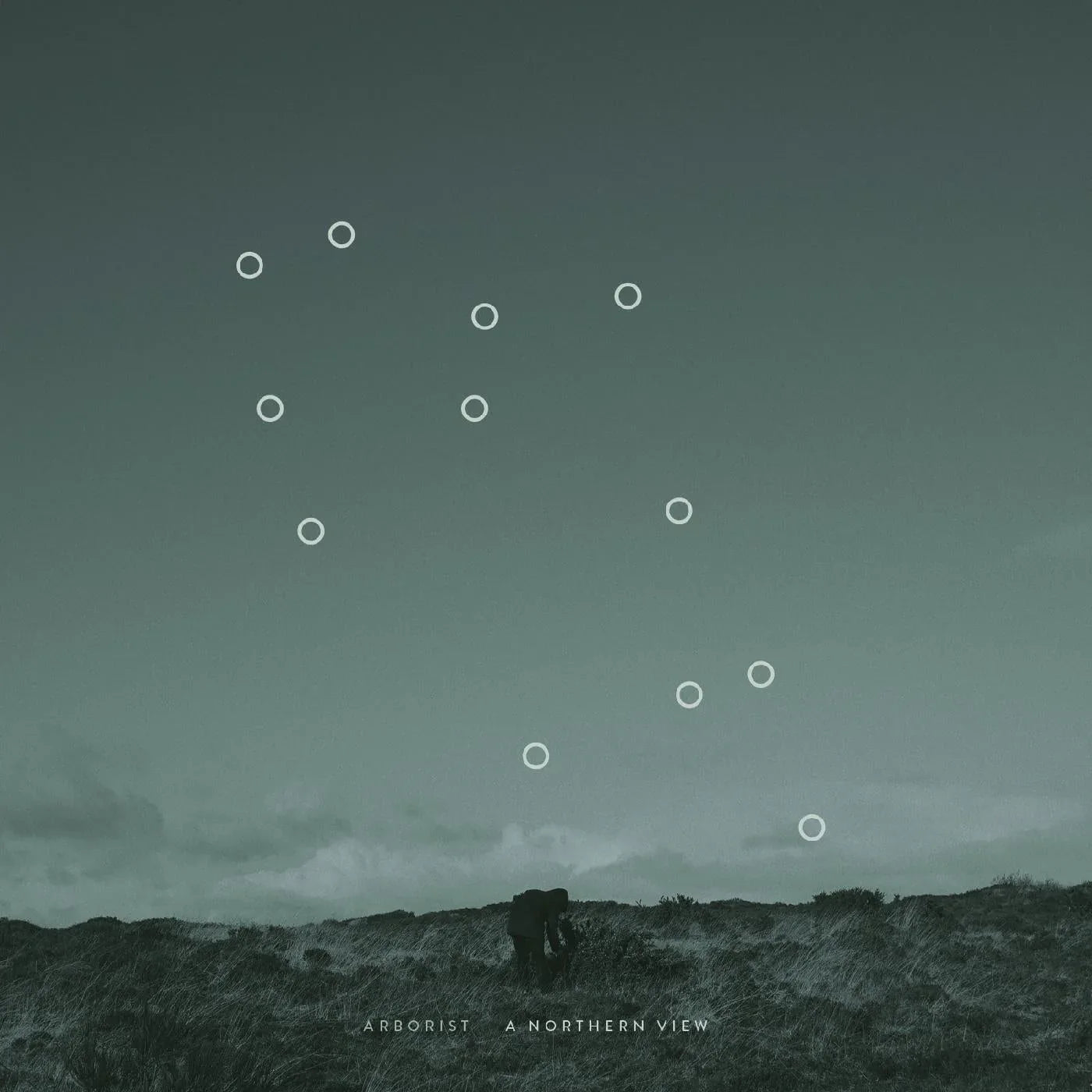 Arborist - A Northern View (Vinyl) - Joco Records