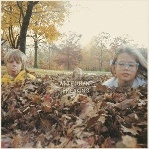 Attendant - When You're Freaking Out (Vinyl EP) - Joco Records
