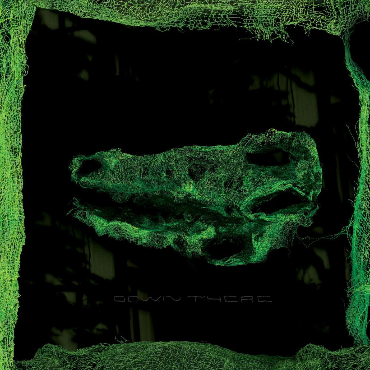 Avey Tare - Down There (LP) - Joco Records