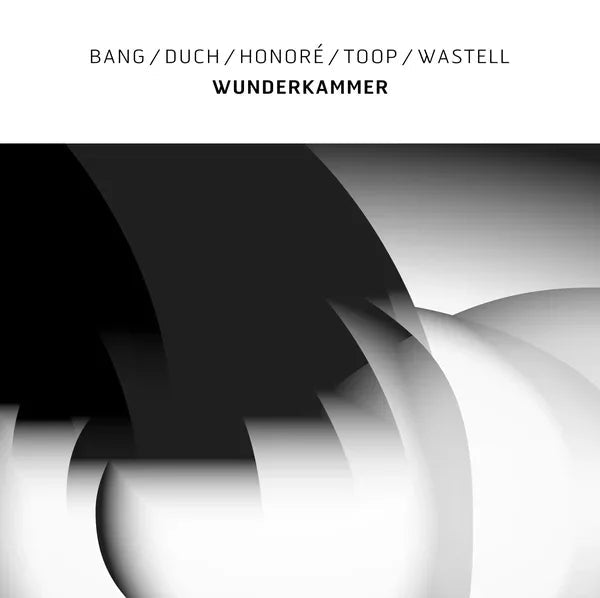 Bang/Duch/Honore/Toop/Wastell - Wunderkammer (Vinyl) - Joco Records