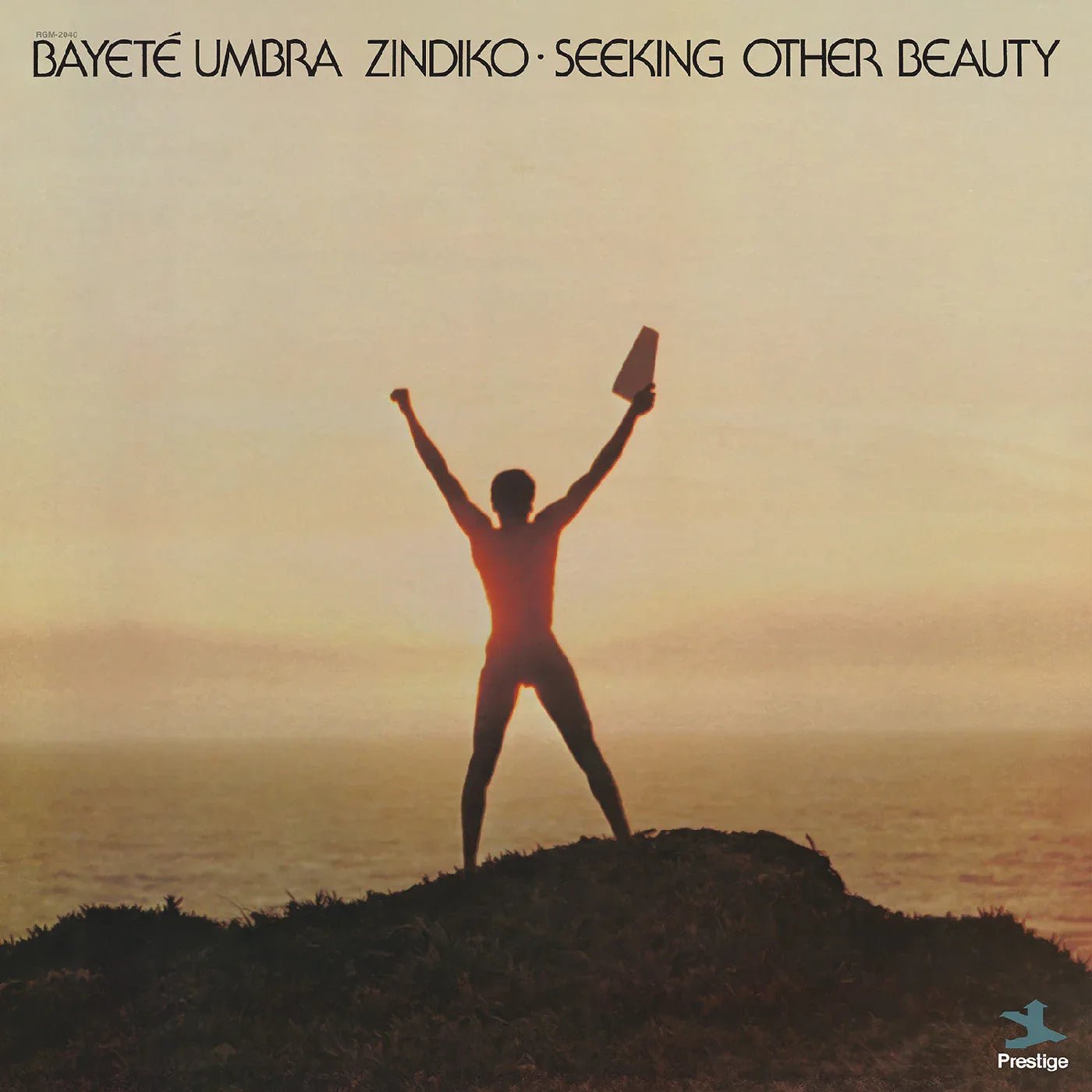 Bayeté Umbra Zindiko - Seeking Other Beauty (All-Analog) (Plasma Vinyl) - Joco Records