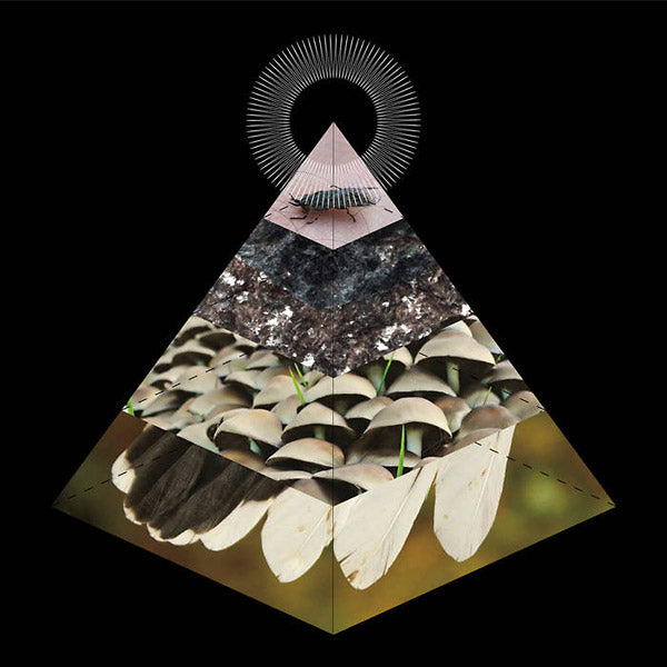 BELUS - Apophenia