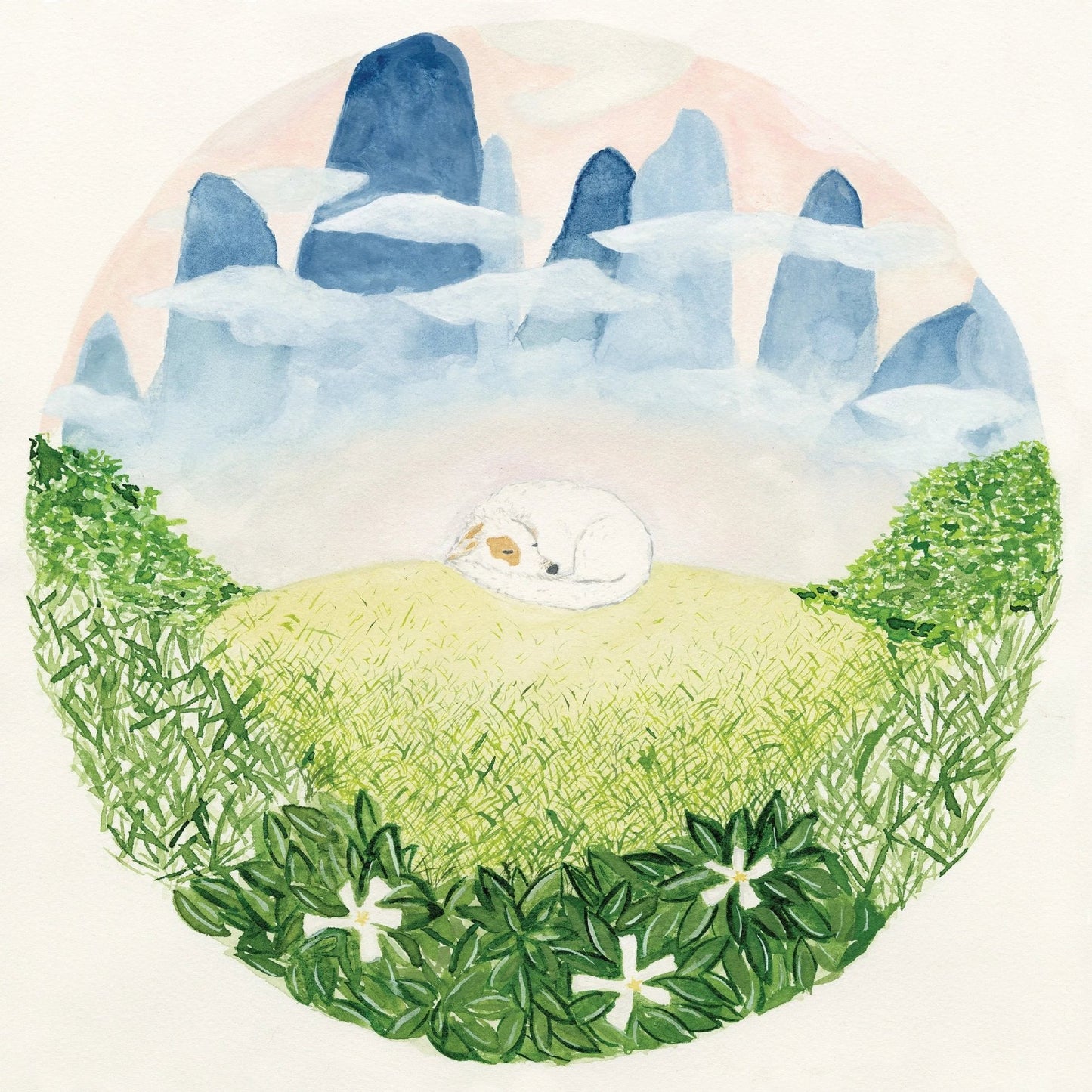 Ben Hackett - Songs For Sleeping Dogs (2 LP) - Joco Records