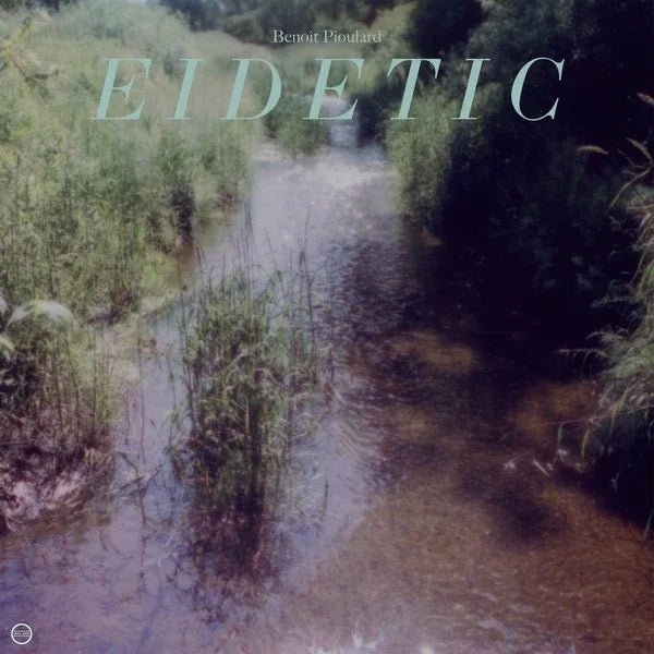 Benoit Pioulard - Eidetic (LP) - Joco Records