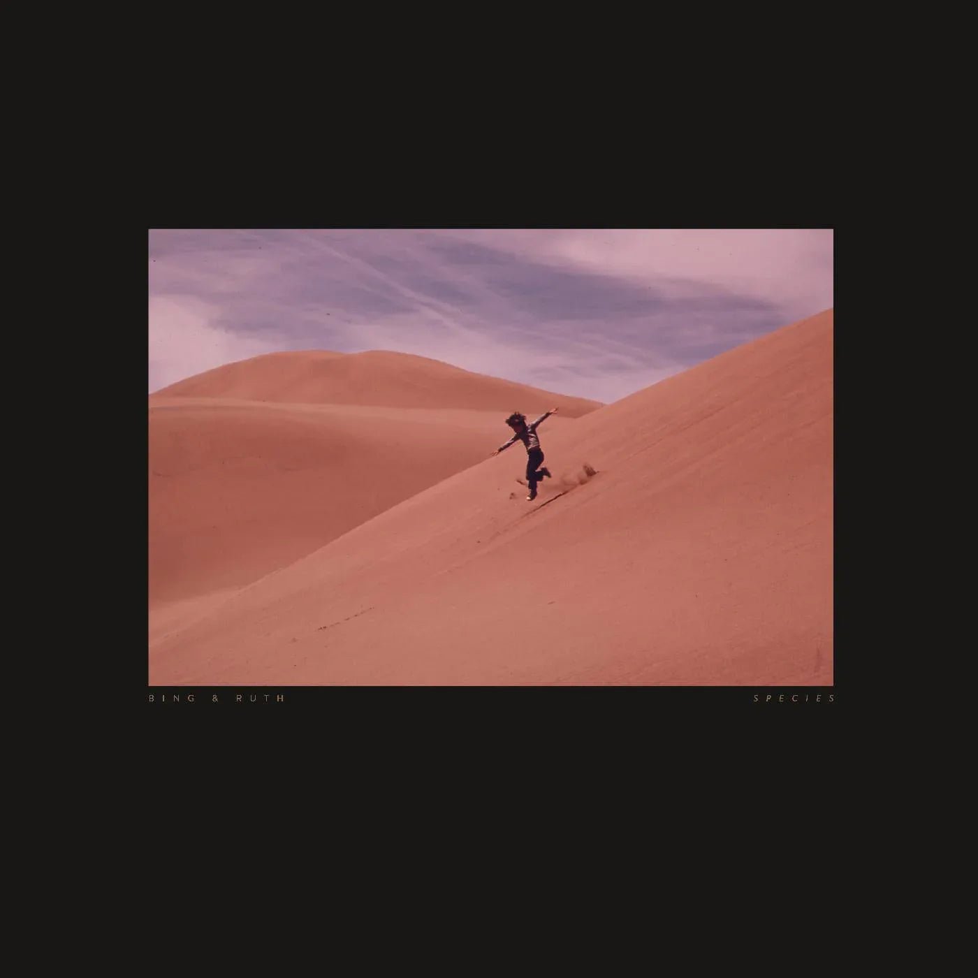 Bing & Ruth - Species (LP) - Joco Records