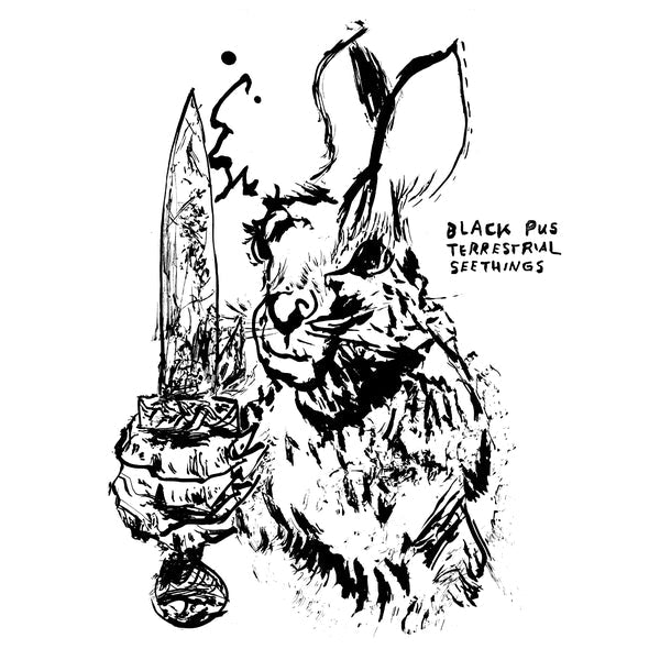 Black Pus - Terrestrial Seethings (Silver Vinyl) (LP) - Joco Records