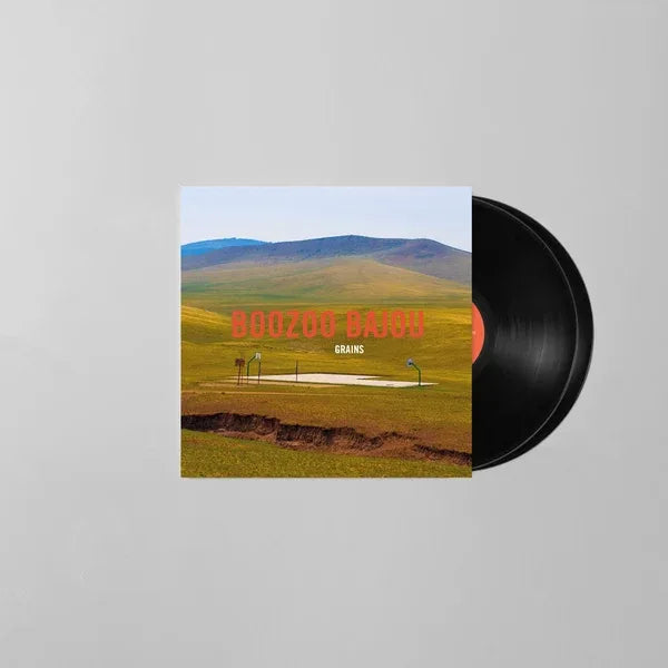 Boozoo Bajou - Grains (15th Anniversary)