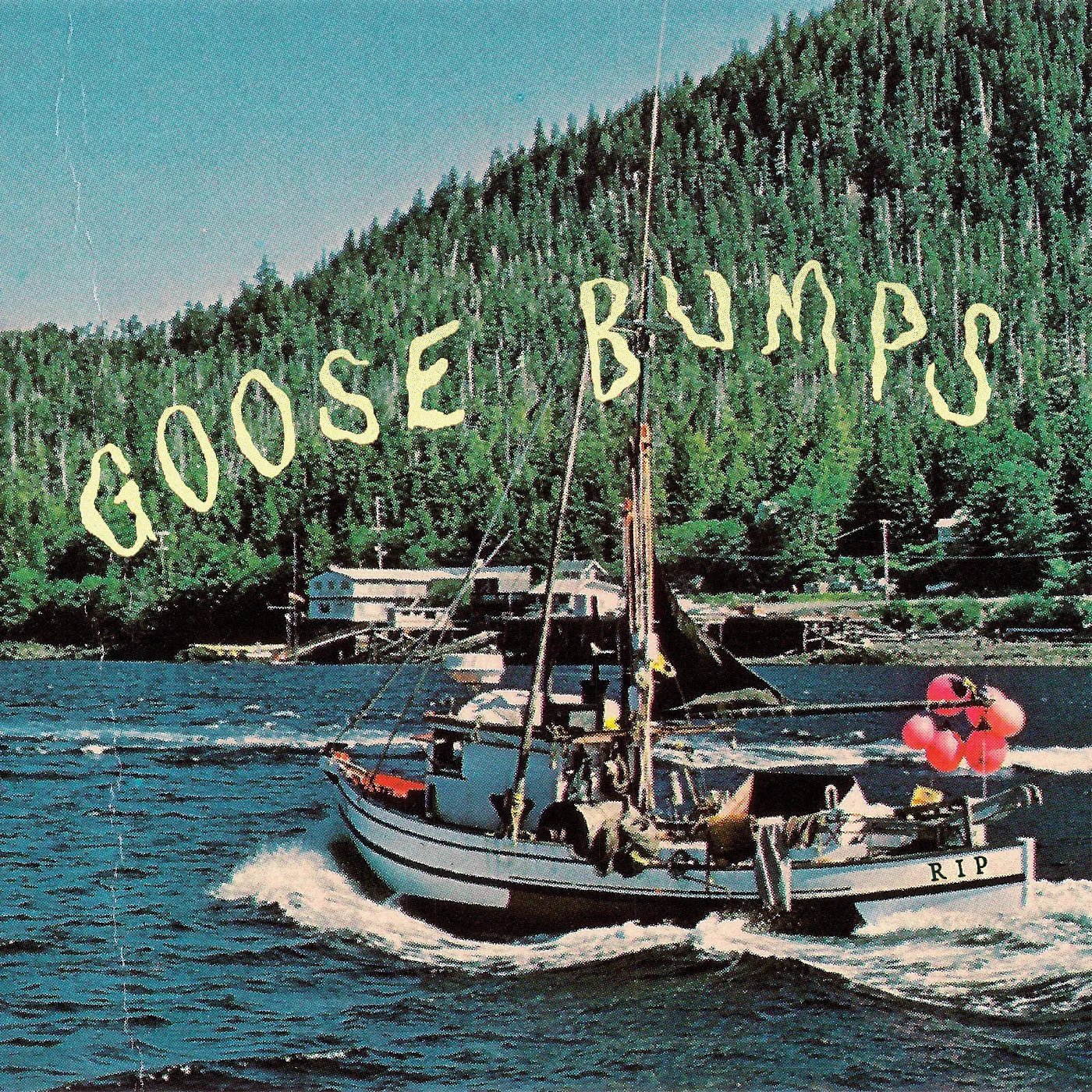 Boyscott - Goose Bumps (Bluue Marble Vinyl) (LP) - Joco Records