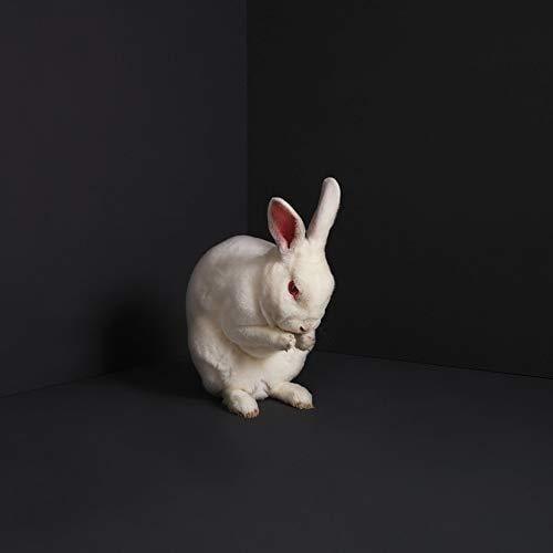 Brume - Rabbits (LP) - Joco Records