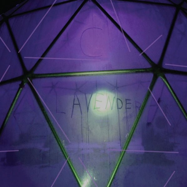 C. Lavender - Myth Of Equilibrium (LP) - Joco Records