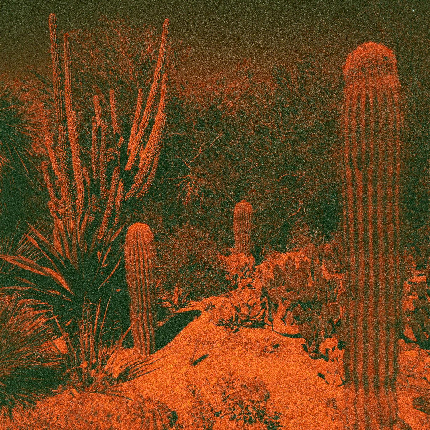 Cameron & Eli Winter Knowler - Anticipation (Indie Exclusive Purple Vinyl)