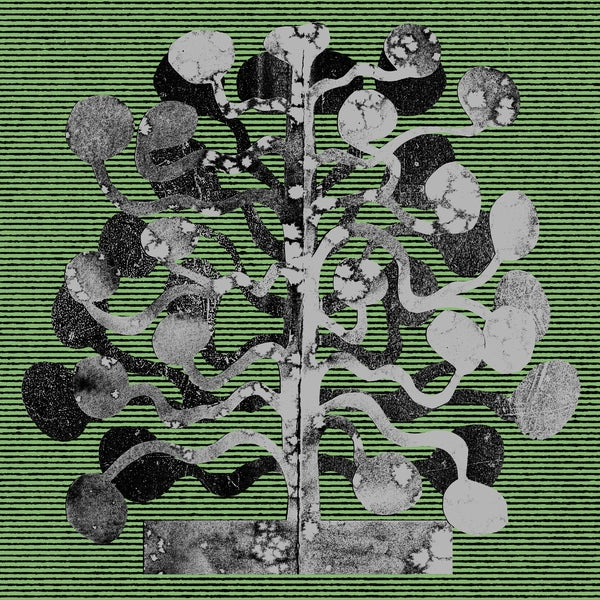 CHURCH ANDREWS & MATT DAVIES - Yucca