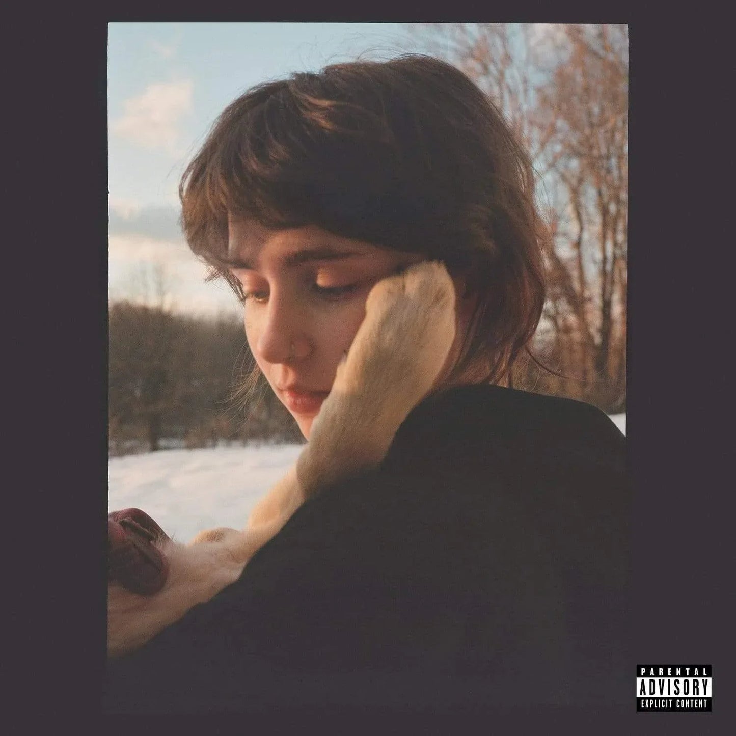 Clairo - Sling (Indie Exclusive, Limited, Dark Green Vinyl) (LP) - Joco Records