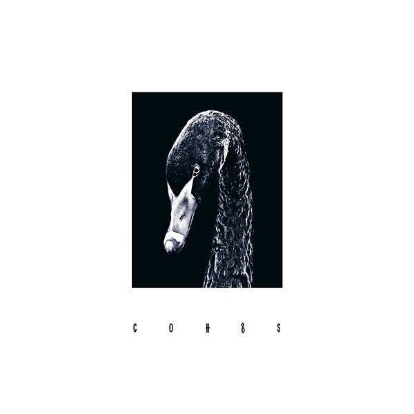 Coh - Cohgs (LP) - Joco Records